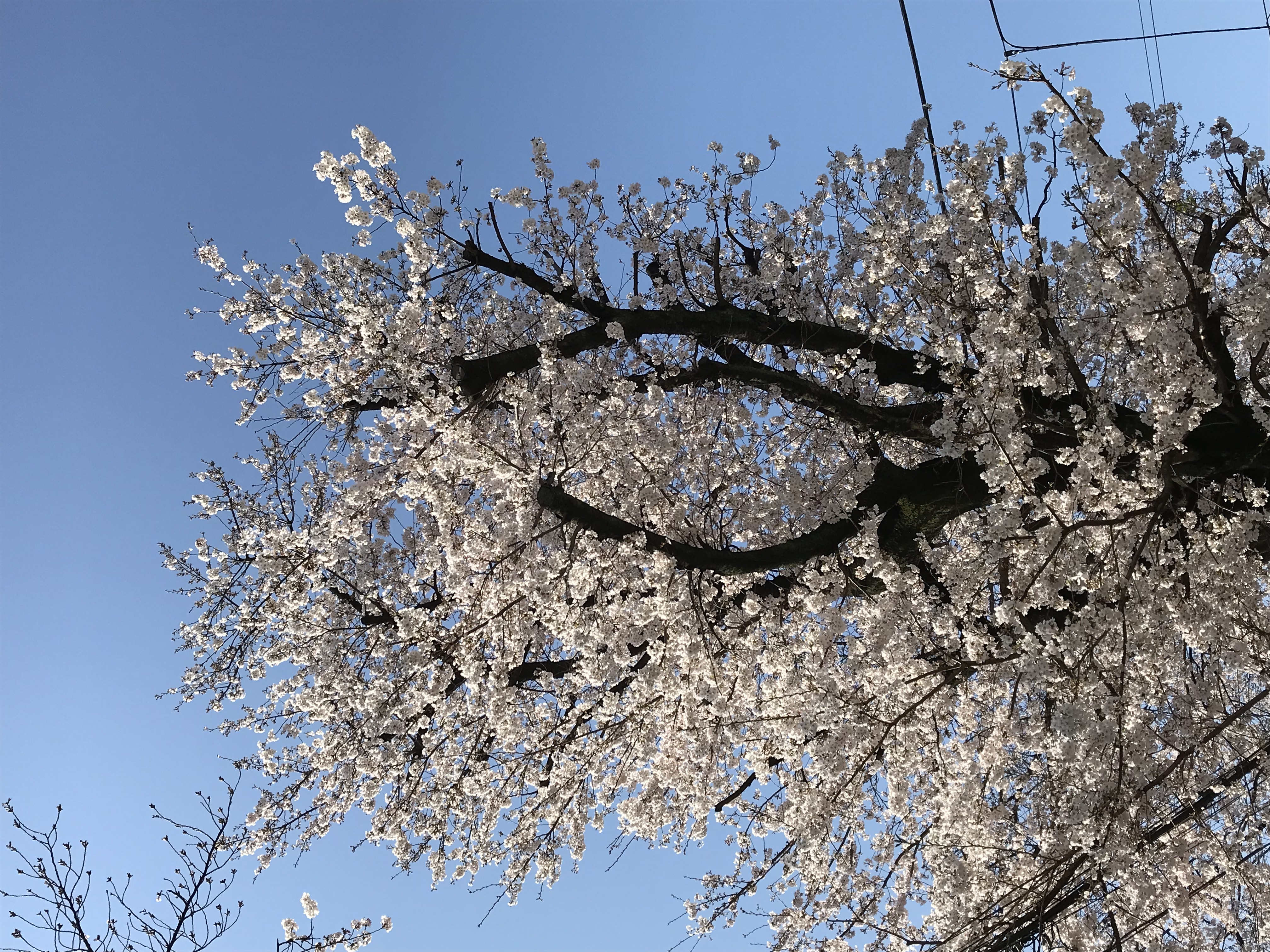 ○○○○○○○○イメージ